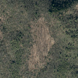 Satellite imagery of Walker Hollow Ridge, US