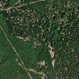 Satellite imagery of survey_point, DZ
