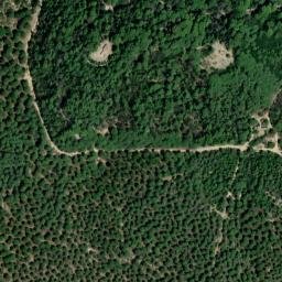Satellite imagery of survey_point, DZ