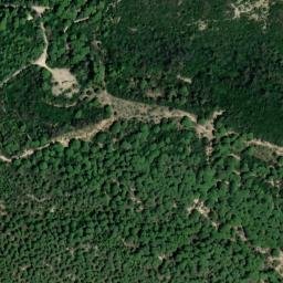 Satellite imagery of survey_point, DZ