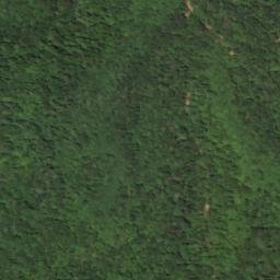 Satellite imagery of Burton Ridge, US