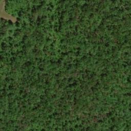 Satellite imagery of Cove Ridge, US