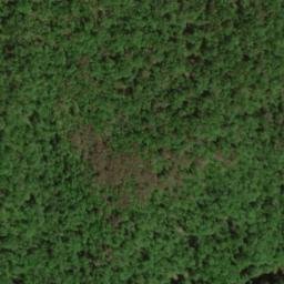 Satellite imagery of Cove Ridge, US