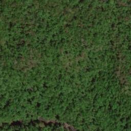 Satellite imagery of Cove Ridge, US