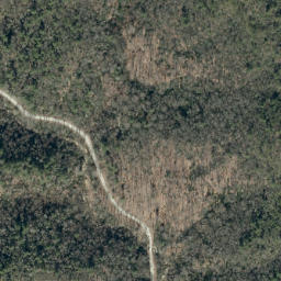 Satellite imagery of Walker Hollow Ridge, US