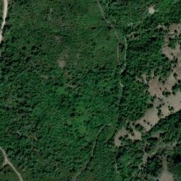 Satellite imagery of survey_point, DZ