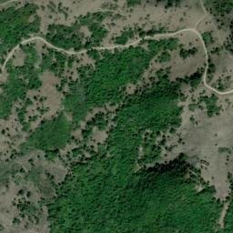 Satellite imagery of survey_point, DZ