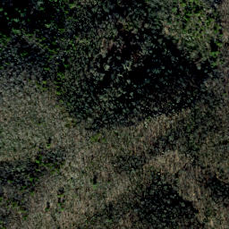 Satellite imagery of Middle Ridge, US