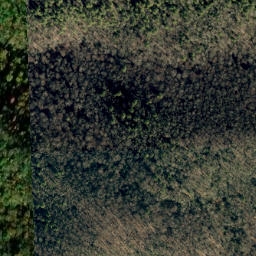 Satellite imagery of No Business Ridge, US