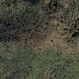 Satellite imagery of No Business Ridge, US