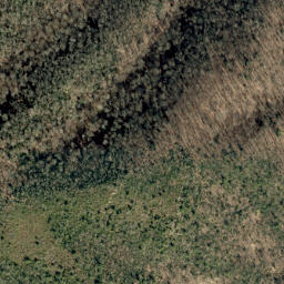 Satellite imagery of No Business Ridge, US