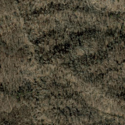 Satellite imagery of Big Ridge, US