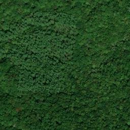 Satellite imagery of Allen Joyner Mine, US