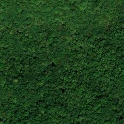 Satellite imagery of Allen Joyner Mine, US