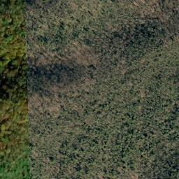 Satellite imagery of No Business Ridge, US