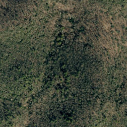 Satellite imagery of No Business Ridge, US