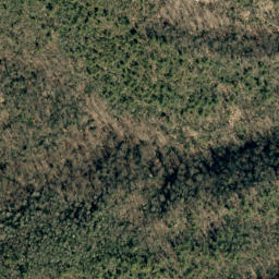 Satellite imagery of No Business Ridge, US