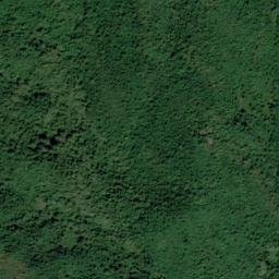 Satellite imagery of survey_point, DZ
