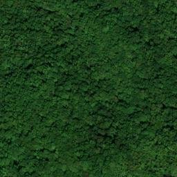 Satellite imagery of Allen Joyner Mine, US
