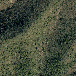 Satellite imagery of No Business Ridge, US
