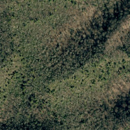 Satellite imagery of No Business Ridge, US