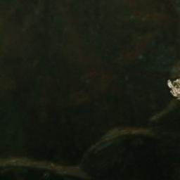 Satellite imagery of T 61 — NGS GQ0056 — Coconino County, US, US