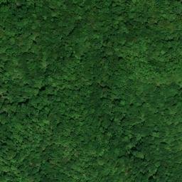 Satellite imagery of Allen Joyner Mine, US