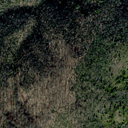 Satellite imagery of Henry Ridge, US
