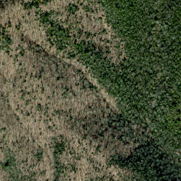 Satellite imagery of Fork Ridge, US