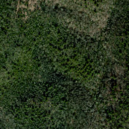 Satellite imagery of Fork Ridge, US