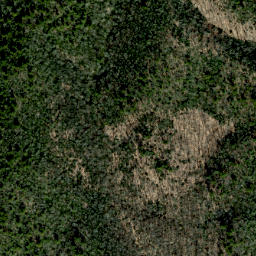 Satellite imagery of Fork Ridge, US