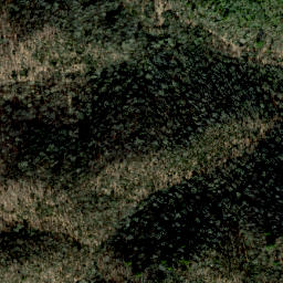 Satellite imagery of Snakeden Ridge, US