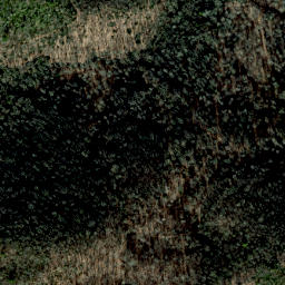 Satellite imagery of Snakeden Ridge, US