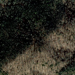 Satellite imagery of Snakeden Ridge, US