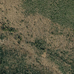 Satellite imagery of Deer Ridge, US