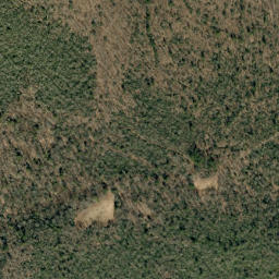 Satellite imagery of Deer Ridge, US
