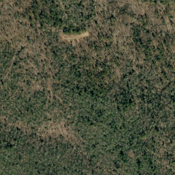 Satellite imagery of Deer Ridge, US