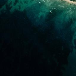 Satellite imagery of survey_point, DZ