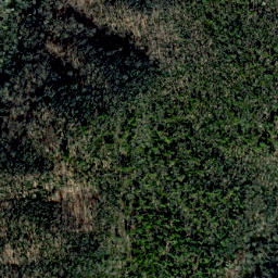 Satellite imagery of Rocky Ridge, US