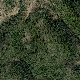 Satellite imagery of Fork Ridge, US
