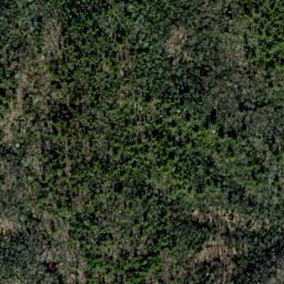 Satellite imagery of Fork Ridge, US