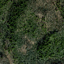 Satellite imagery of Fork Ridge, US
