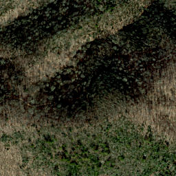 Satellite imagery of Snakeden Ridge, US