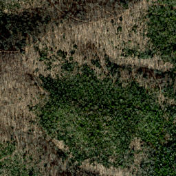 Satellite imagery of Snakeden Ridge, US