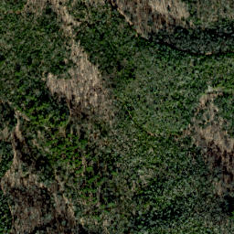 Satellite imagery of Snakeden Ridge, US