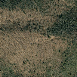 Satellite imagery of Deer Ridge, US