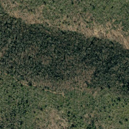 Satellite imagery of Deer Ridge, US
