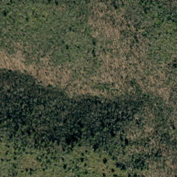 Satellite imagery of Deer Ridge, US