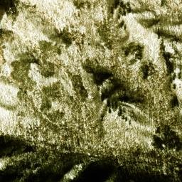 Satellite imagery of 1089.3, JP