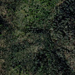 Satellite imagery of Rocky Ridge, US